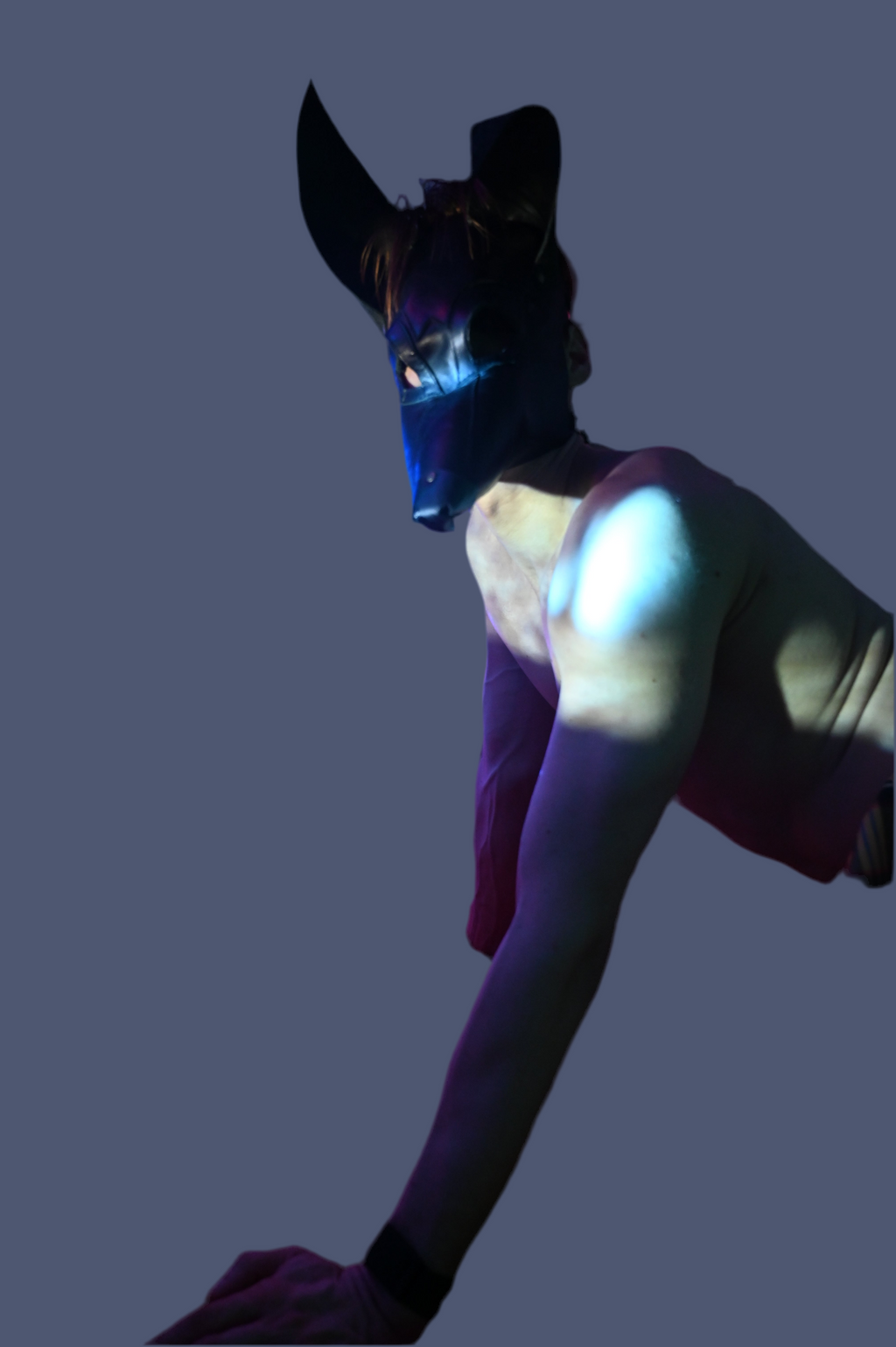 Hand made Leather Dog Masks