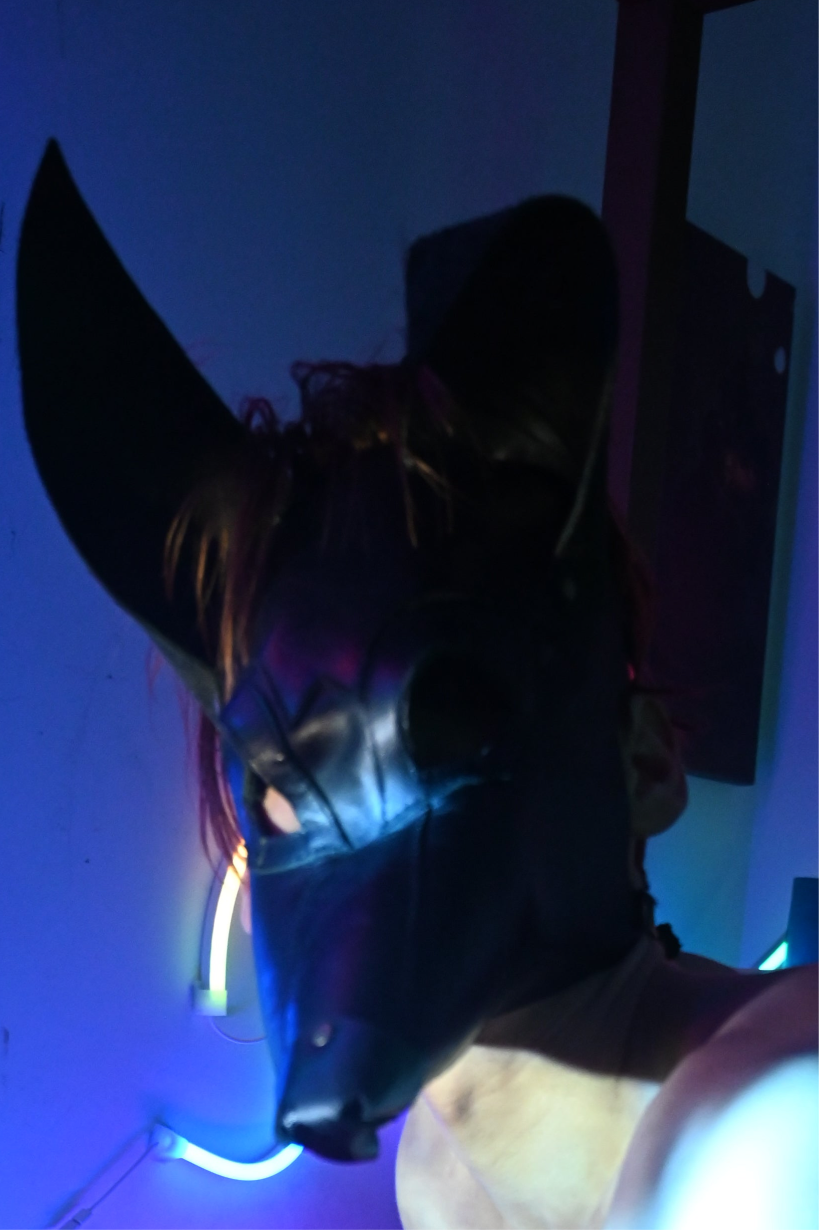 Hand made Leather Dog Masks