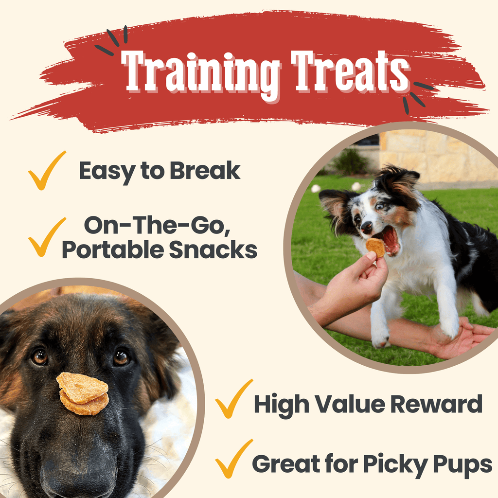 Chicken Chips for Dogs | All-Natural Single-Ingredient Dog Treats