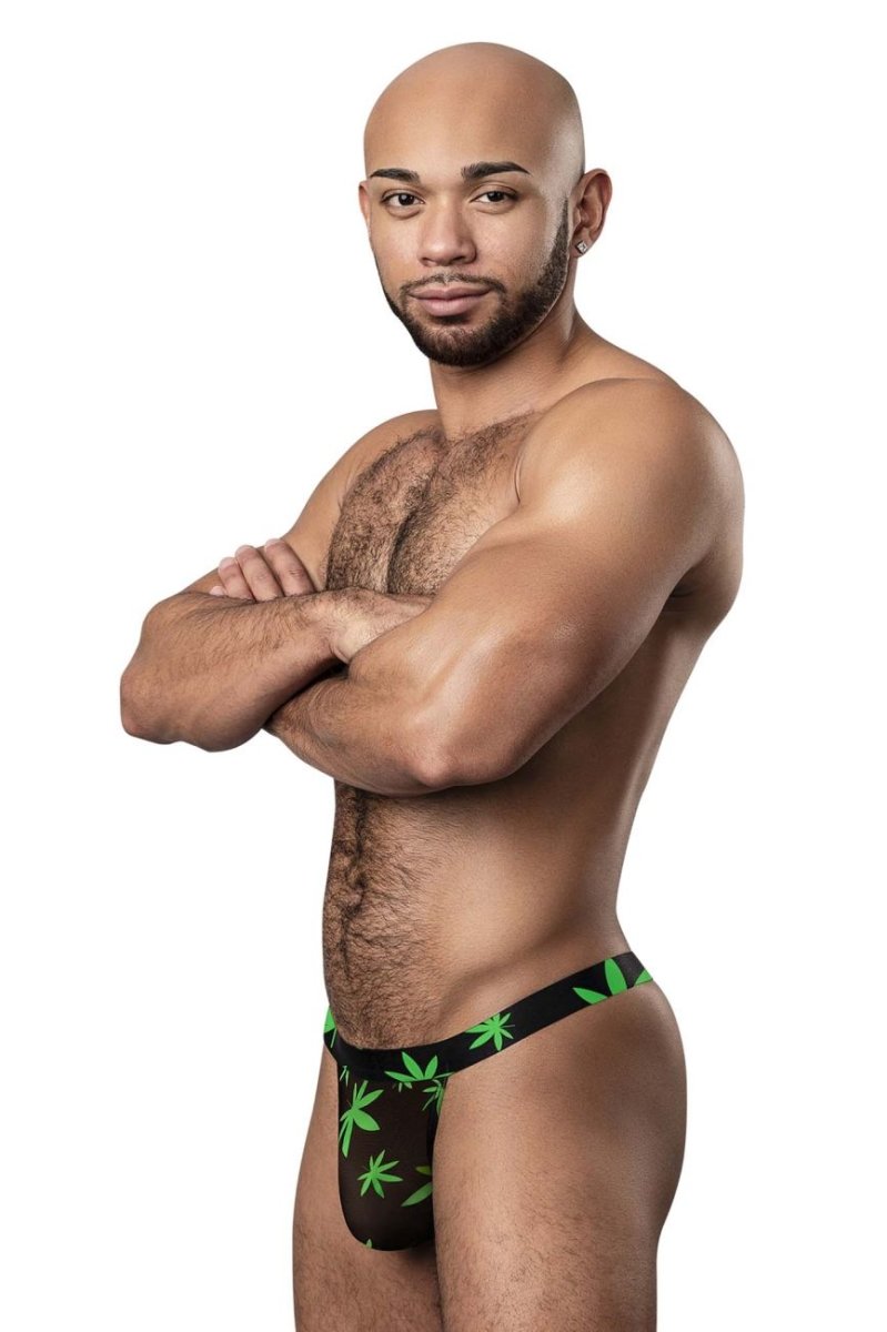 Mens Hazy Dayz Micro Thong Male Power 433-294