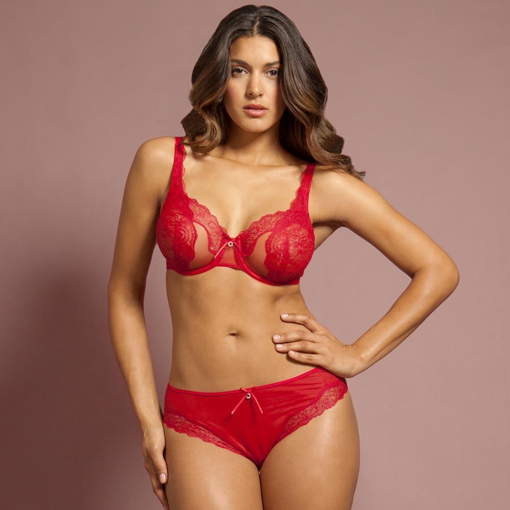 Sheer Lace Bikini Panty Lunaire Ashley